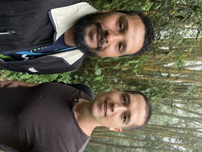Private Tijuca Forest & Botanical Garden Guided Tour - Cascatinha Taunay and the short trail