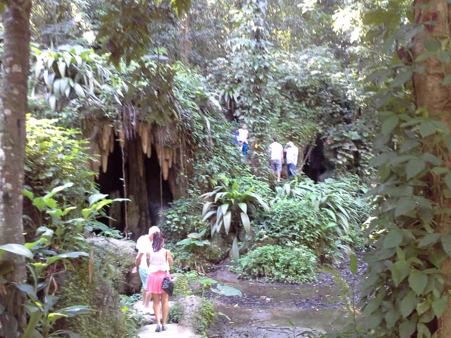 Private Tijuca Forest & Botanical Garden Guided Tour - Returning through Rio’s green hills