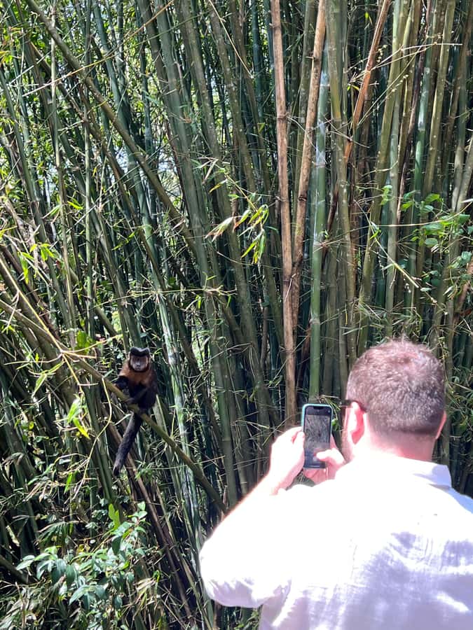 Private Tijuca Forest & Botanical Garden Guided Tour - Guides, languages, and the feel of the day