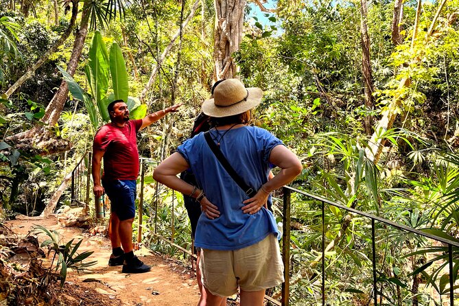 Private Tour: Botanical Garden & Petroglyphs - Lunch at a Traditional Mexican Restaurant