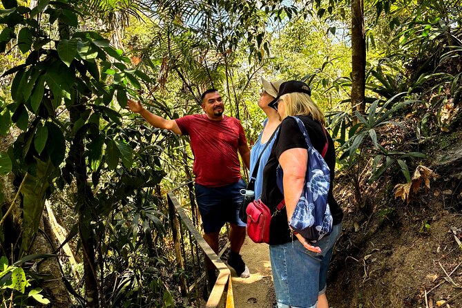 Private Tour: Botanical Garden & Petroglyphs - What the $310 Price Really Buys