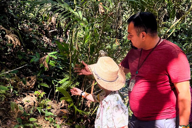 Private Tour: Botanical Garden & Petroglyphs - Who Will Enjoy This Six-Hour Outing?