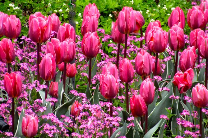 Private Tour Countryside Drive to Butchart Gardens & Victoria - Following the Juan de Fuca Strait