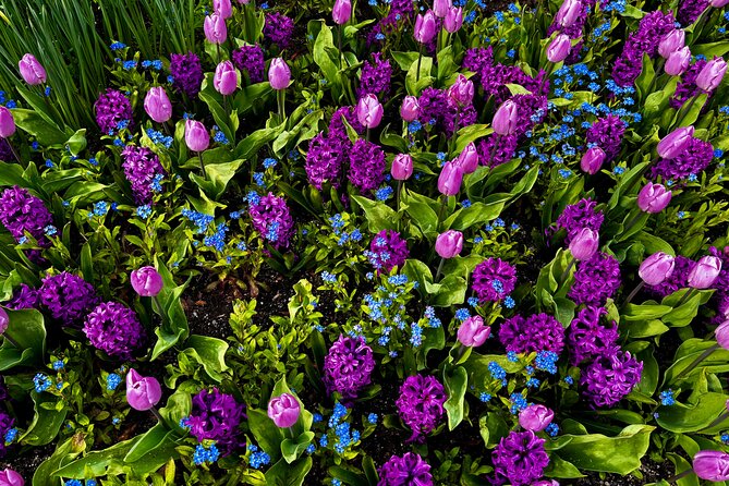 Private Tour Countryside Drive to Butchart Gardens & Victoria - Is $850.67 a fair price?