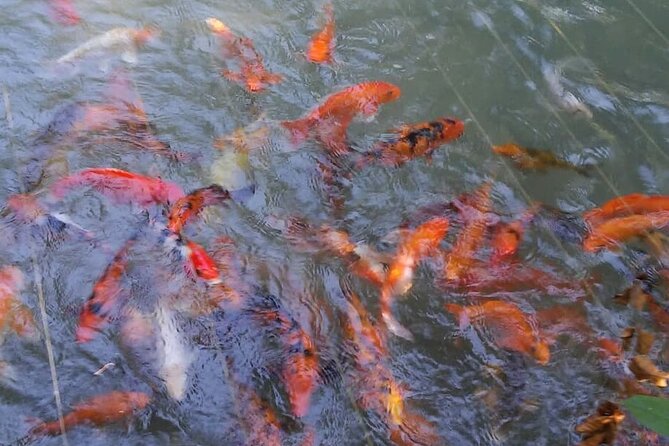 Private Tour From Ocho Rios To Konoko Falls And Garden and Shopping - What the $80 price really covers