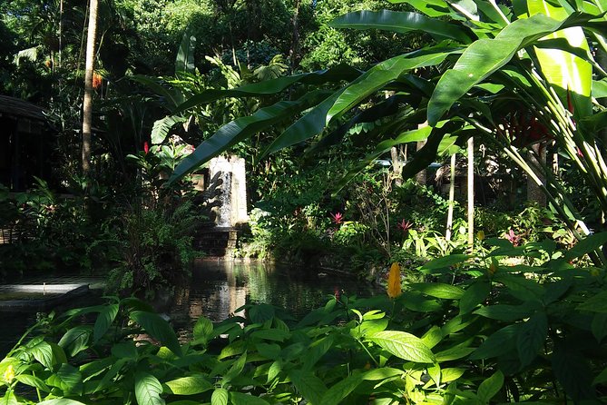Private Tour From Ocho Rios To Konoko Falls And Garden and Shopping - Who will get the most from this outing