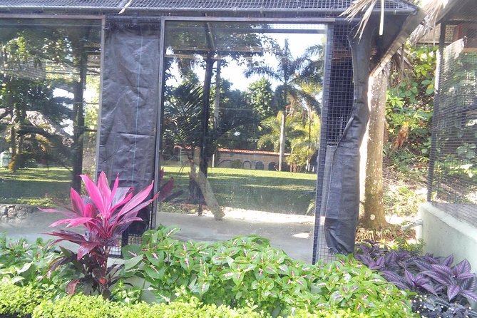 Private Tour From Ocho Rios To Konoko Falls And Garden and Shopping - What the strong service feedback tells you