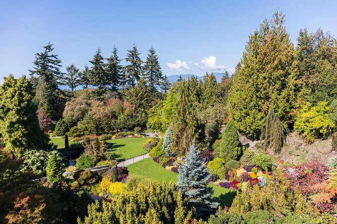 Private Tour: Gardens of Vancouver - Chinatown and the Dr. Sun Yat-Sen Classical Chinese Garden