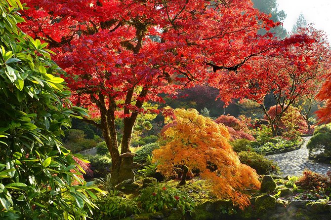 Private Tour: Gardens of Vancouver - Four hours, private transport, and the price