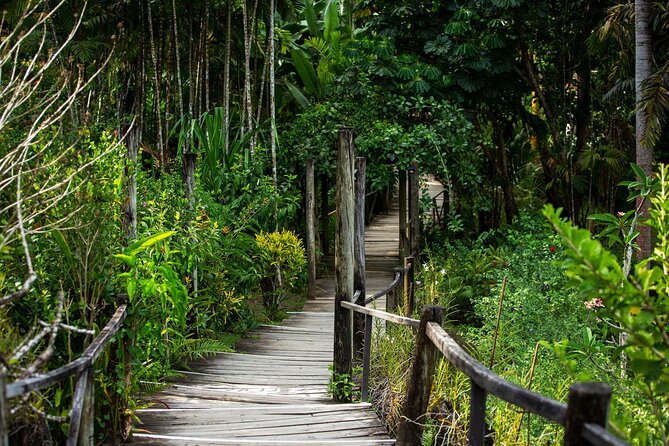 Private Tour: Hot spings & Sleeping Giant Garden hiking Adventure - What this four-hour Fiji outing is really like