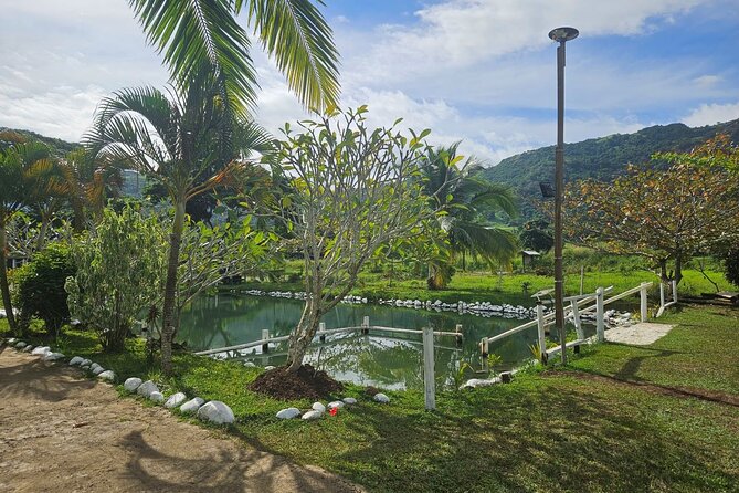 Private Tour: Hot spings & Sleeping Giant Garden hiking Adventure - The private format and your driver matter