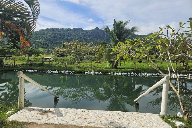 Private Tour: Hot spings & Sleeping Giant Garden hiking Adventure - Is $82.31 per person fair?
