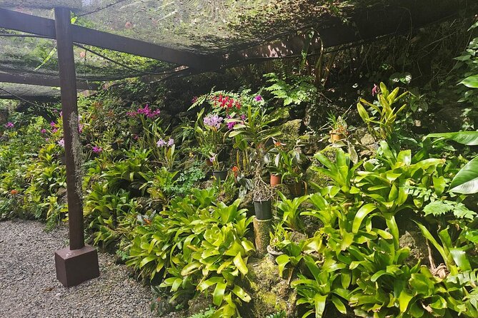 Private Tour: Hot spings & Sleeping Giant Garden hiking Adventure - Practical advice for a smoother morning