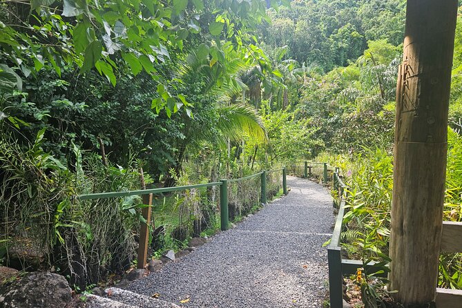 Private Tour: Hot spings & Sleeping Giant Garden hiking Adventure - Should you book the Sabeto and Sleeping Giant tour?