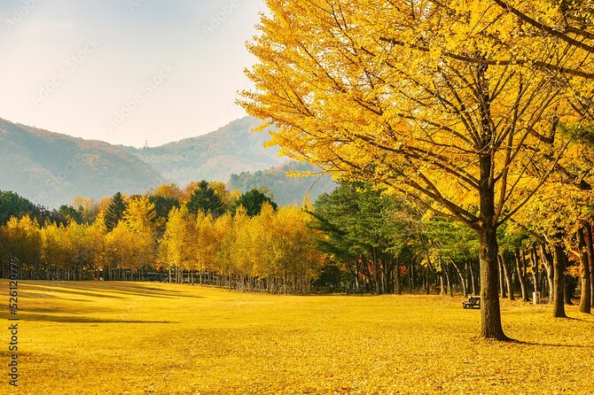 [Private Tour] Nami Island+Morning calm Garden+Petite France - Why this private day trip works