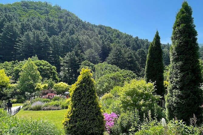 [Private Tour] Nami Island+Morning calm Garden+Petite France - Practical details before you reserve