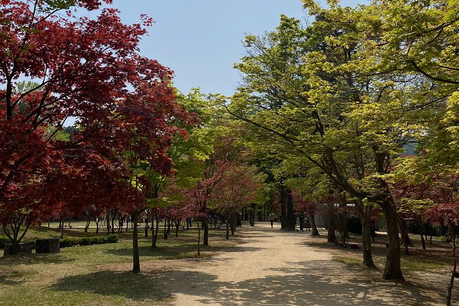 [Private Tour] Nami Island+Morning calm Garden+Petite France - Petite France brings a storybook change of scene