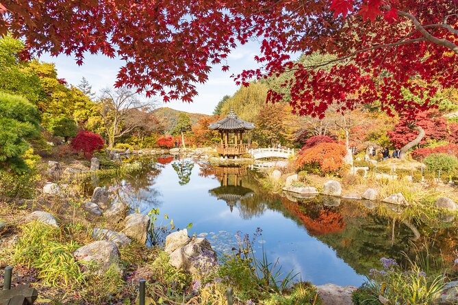 (Private tour) Nami Island + Railbike + Garden of morning calm - Leaving Seoul for a full countryside day