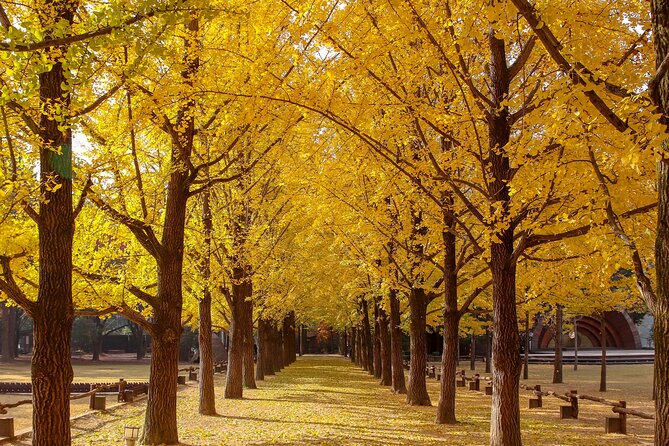 (Private tour) Nami Island + Railbike + Garden of morning calm - Who will enjoy this route most