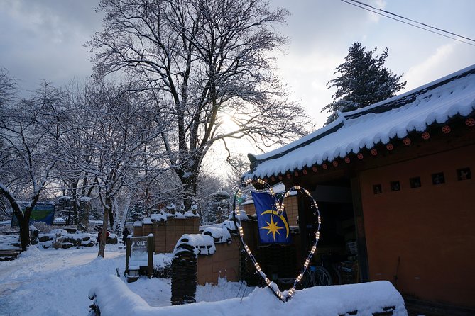 Private Tour Nami Island with Petite France 'and/or' The Garden of Morning Calm - Who should book this day trip