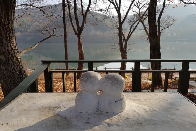 Private Tour Nami Island with Petite France 'and/or' The Garden of Morning Calm - Practical details before you reserve