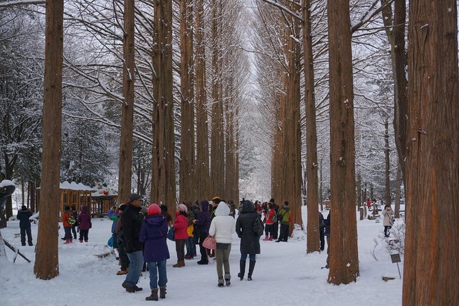 Private Tour Nami Island with Petite France 'and/or' The Garden of Morning Calm - Petite France: attractive, but know the trade-off