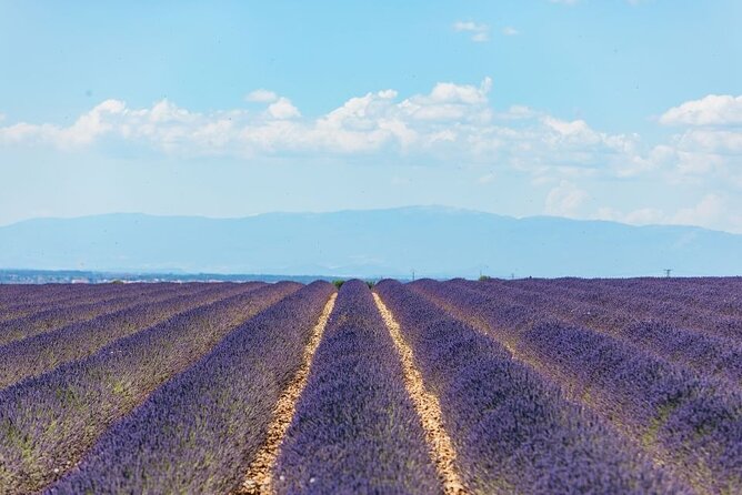 Private Tour of Gorges of Verdon and Fields of Lavender in Nice - What the day from Nice is really like