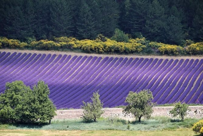 Private Tour Perched Villages of Luberon & (LAVENDER JUNE/JULY) - Gordes delivers the classic hilltop photograph