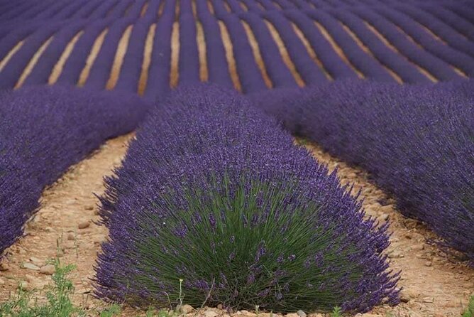 Private Tour Perched Villages of Luberon & (LAVENDER JUNE/JULY) - Fontaine de Vaucluse cools the final stretch