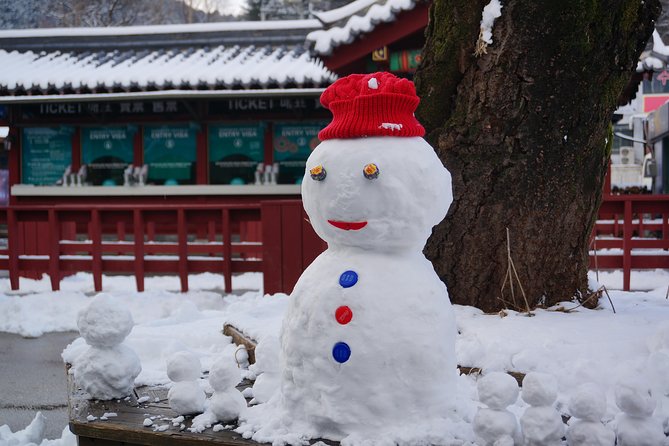 Private Tour Rail Bike & Nami Island & (Petite France or Garden of Morning Calm) - Three hours on Nami Island