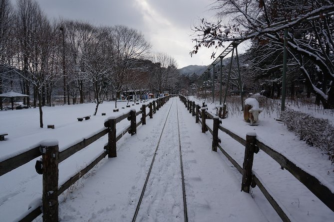 Private Tour Rail Bike & Nami Island & (Petite France or Garden of Morning Calm) - Choosing Petite France for views and photo stops