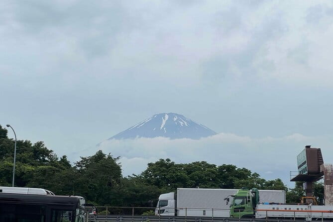 Private tour - Scenic Fuji Escape: Hakone, Peace Park & More - Kitaguchi Hongu Fuji Sengen Shrine beneath old cedars