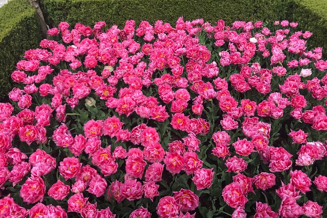 Private Tour to the Keukenhof and Tulip Fields - Who should book this private flower tour?