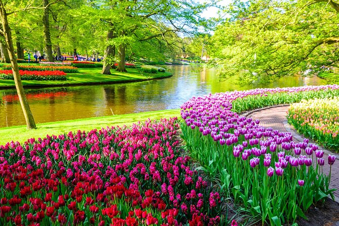 Private Tour Tulip Gardens (Keukenhof) and Dutch highlights - Why the early Keukenhof start matters