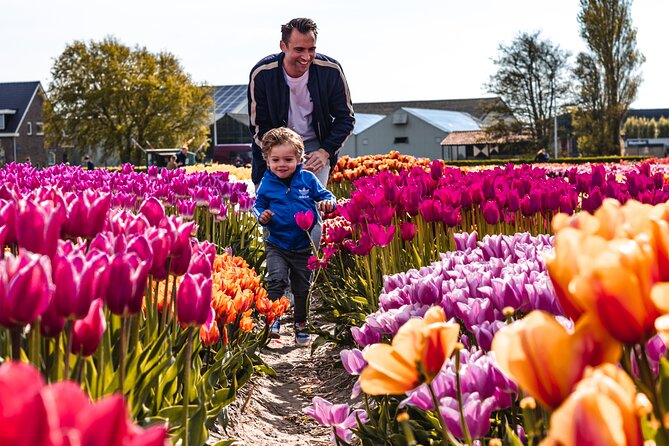 Private Tulip Fields, Windmills and Cheese Tour from Amsterdam - What the private vehicle adds
