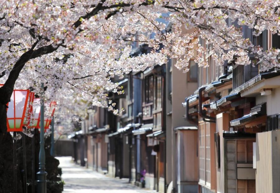 Private & Unique Kanazawa Cherry Blossom "Sakura" Experience - Choosing your obento in a Kanazawa depachika