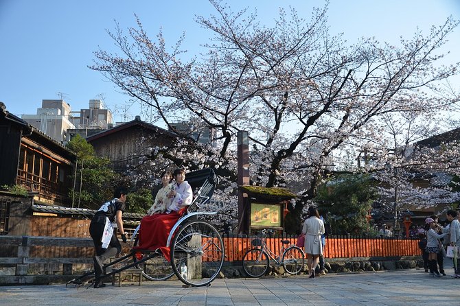 Private & Unique Kyoto Cherry Blossom "Sakura" Experience - Starting in Maruyama Park