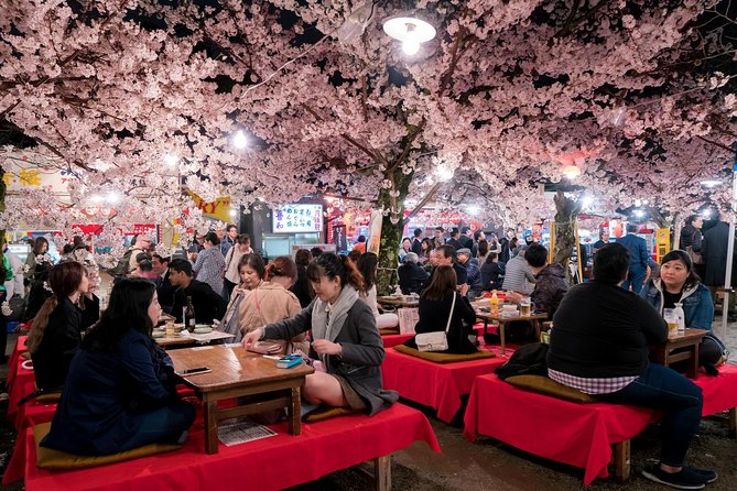 Private & Unique Kyoto Cherry Blossom "Sakura" Experience - The Hanami Picnic and Evening Blossoms