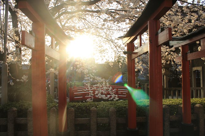 Private & Unique Kyoto Cherry Blossom "Sakura" Experience - Is $290.79 Per Person Fair Value?