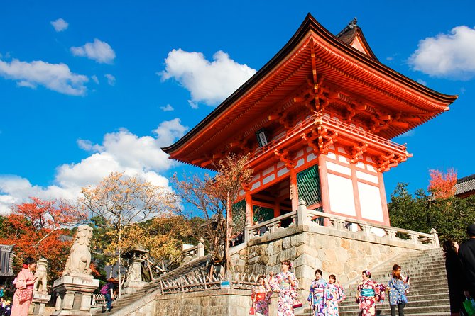 Private & Unique Kyoto Cherry Blossom "Sakura" Experience - Walking, Transport, and Meeting Details