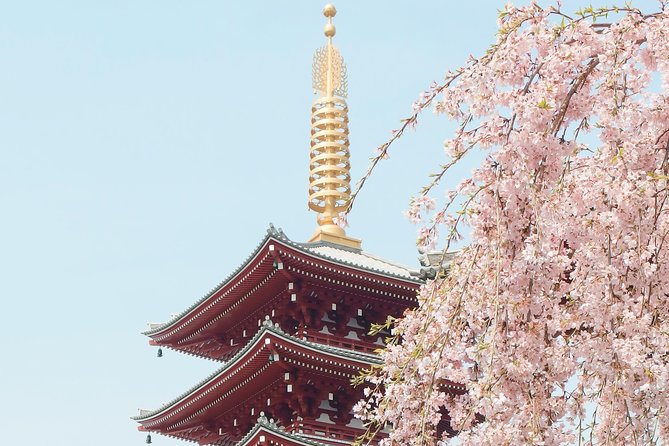 Private & Unique Kyoto Cherry Blossom "Sakura" Experience - Who Should Book This Experience?