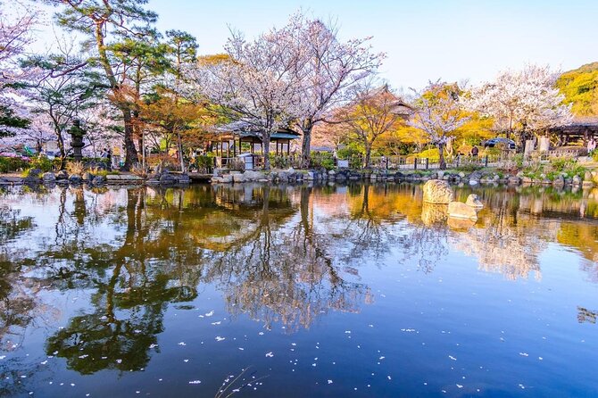 Private & Unique Kyoto Cherry Blossom "Sakura" Experience - A Calmer Walk Through Kyoto Gyoen