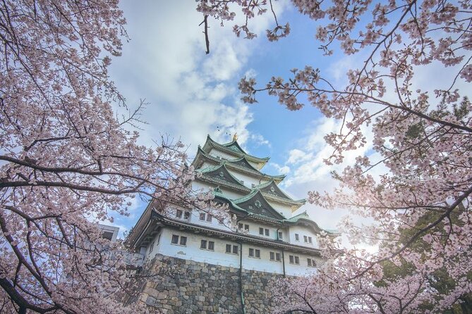 Private & Unique Nagoya Cherry Blossom Sakura Experience - What the four-hour route is really trying to do
