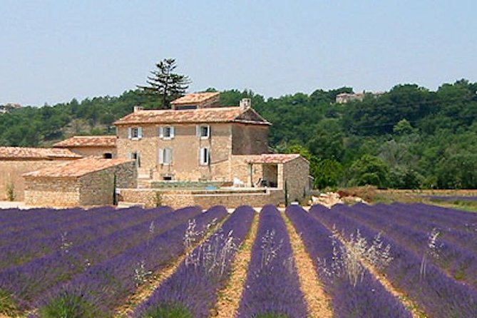 Provence and Lavender - private & Guided Full Day Tour - Key points to know before booking