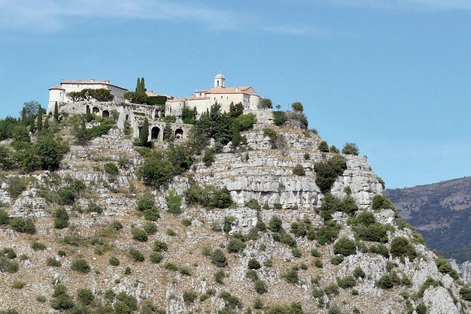 Provence and Lavender - private & Guided Full Day Tour - The private van, guide, and group size