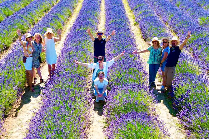 Provence Lavender Fields Tour from Aix-en-Provence - Moustiers-Sainte-Marie and the Full-Day Valensole Route