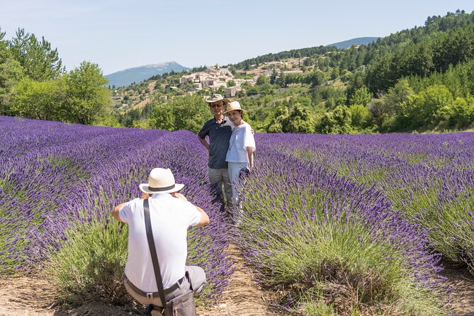 Provence Lavender Full Day Tour from Avignon - Key points to know before booking