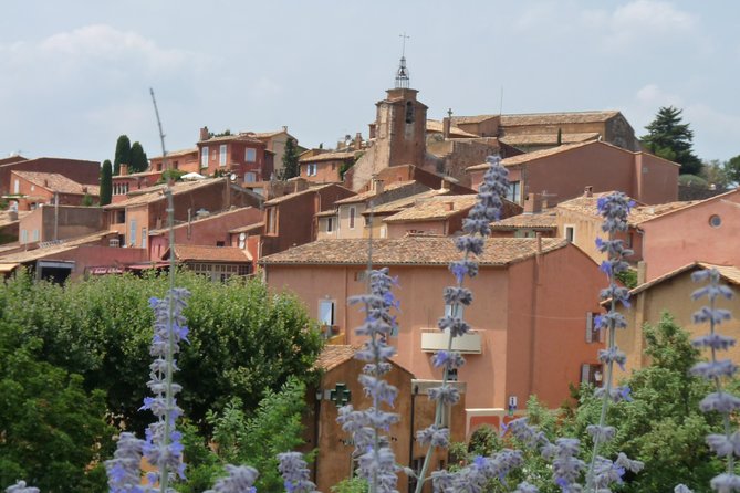 Provence Lavender Full Day Tour from Avignon - What the day is really about