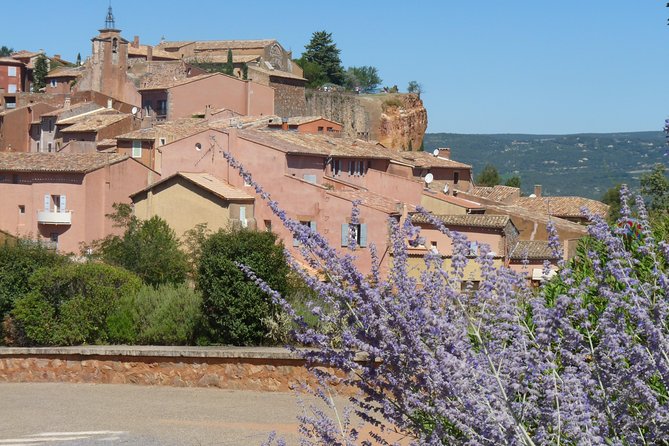 Provence Lavender Full Day Tour from Avignon - Sault: the later-season lavender choice