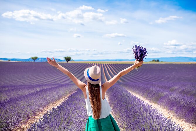 Provence Shared Half Day Lavender Tour from Aix en Provence - What happens on the four-hour route